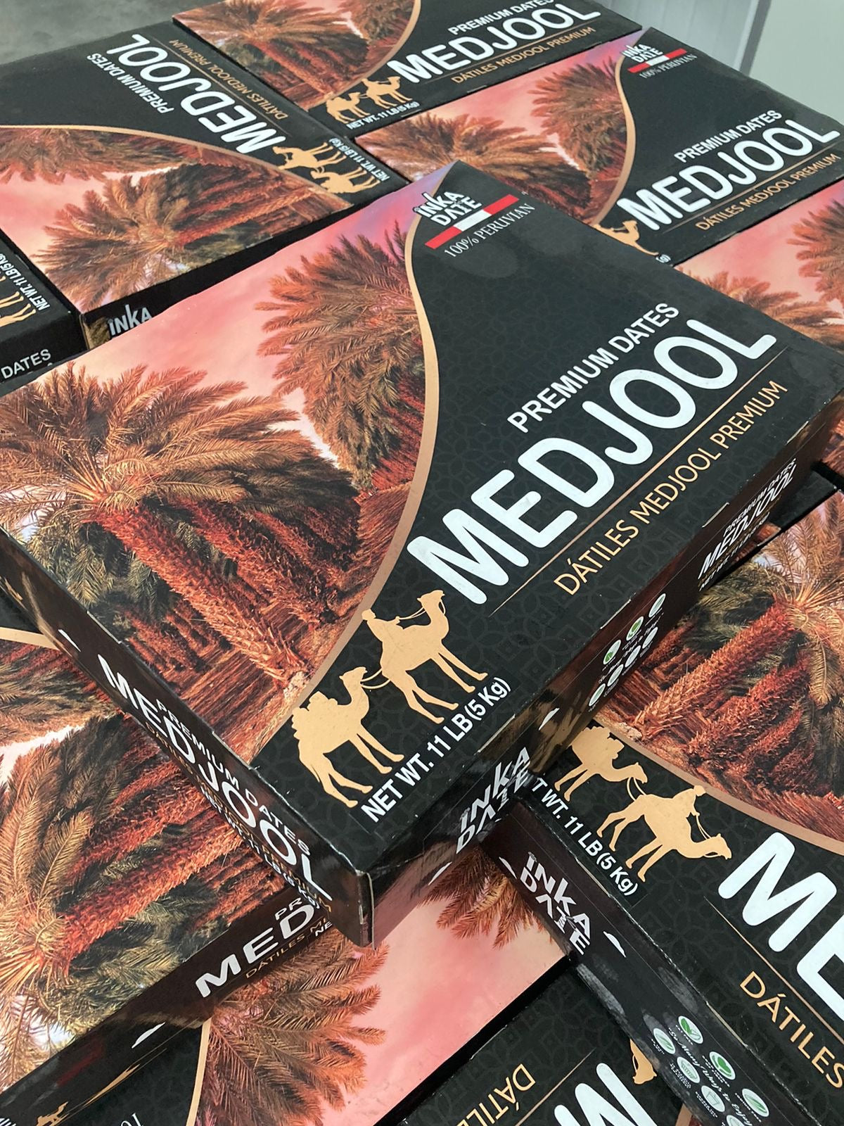 Whole Medjool Date Big Box